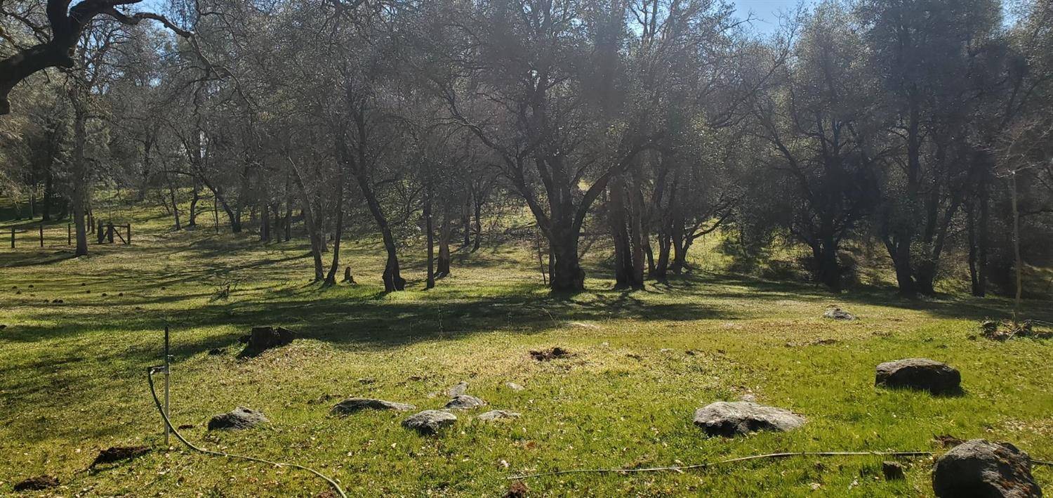 Somerset, CA 95684,6941 Loggers Hollow RD