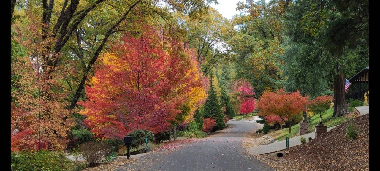 Nevada City, CA 95959,14226 Greenwood CIR