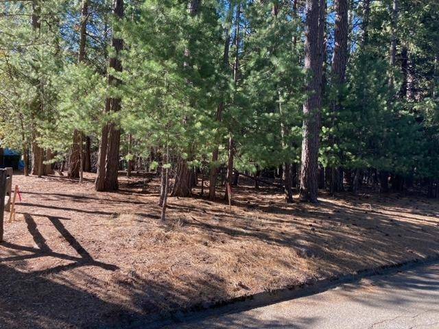 Grizzly Flats, CA 95636,5540 Pine Ridge DR