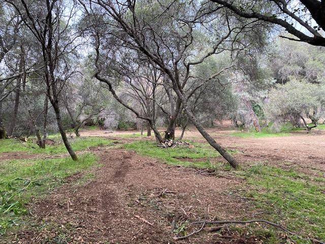 Newcastle, CA 95658,1 Newcastle