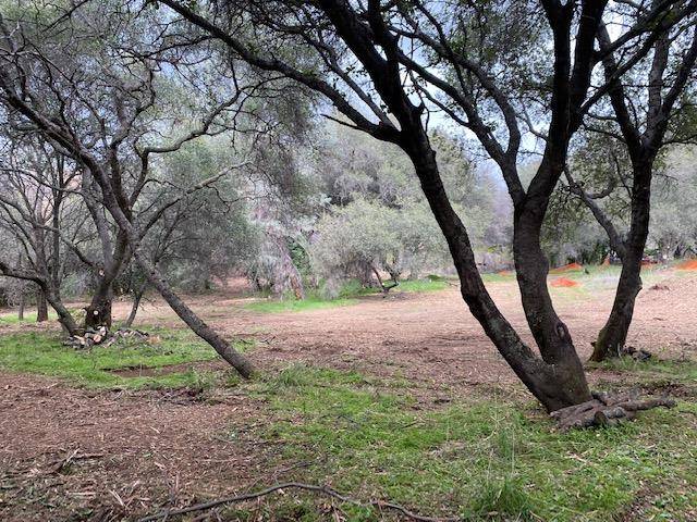 Newcastle, CA 95658,1 Newcastle