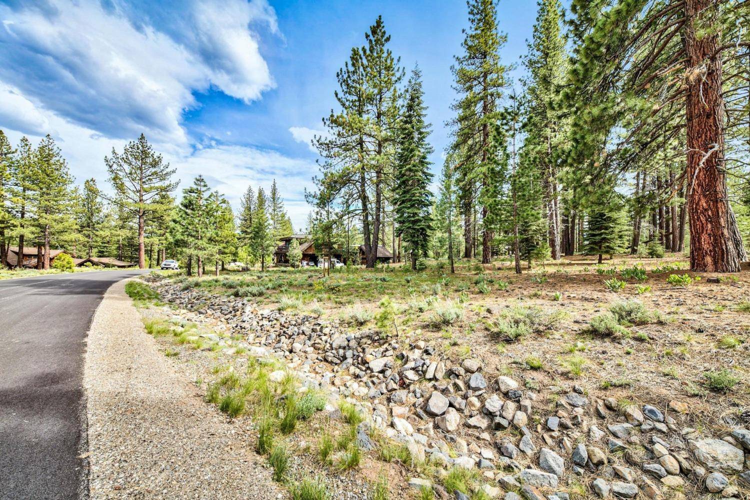 Truckee, CA 96161,121 James Reed