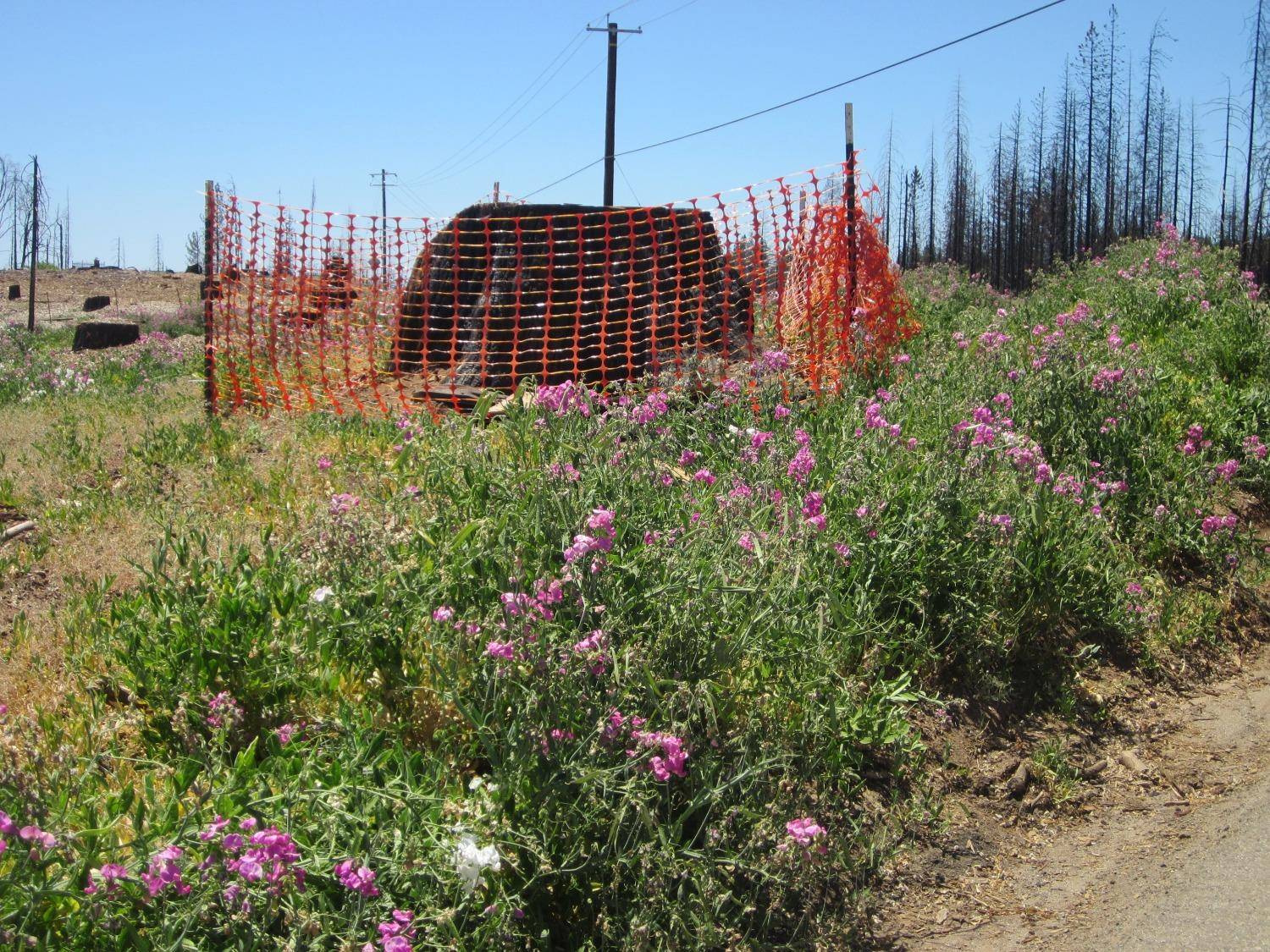 Grizzly Flats, CA 95636,0 GRIZZLY FLAT RD