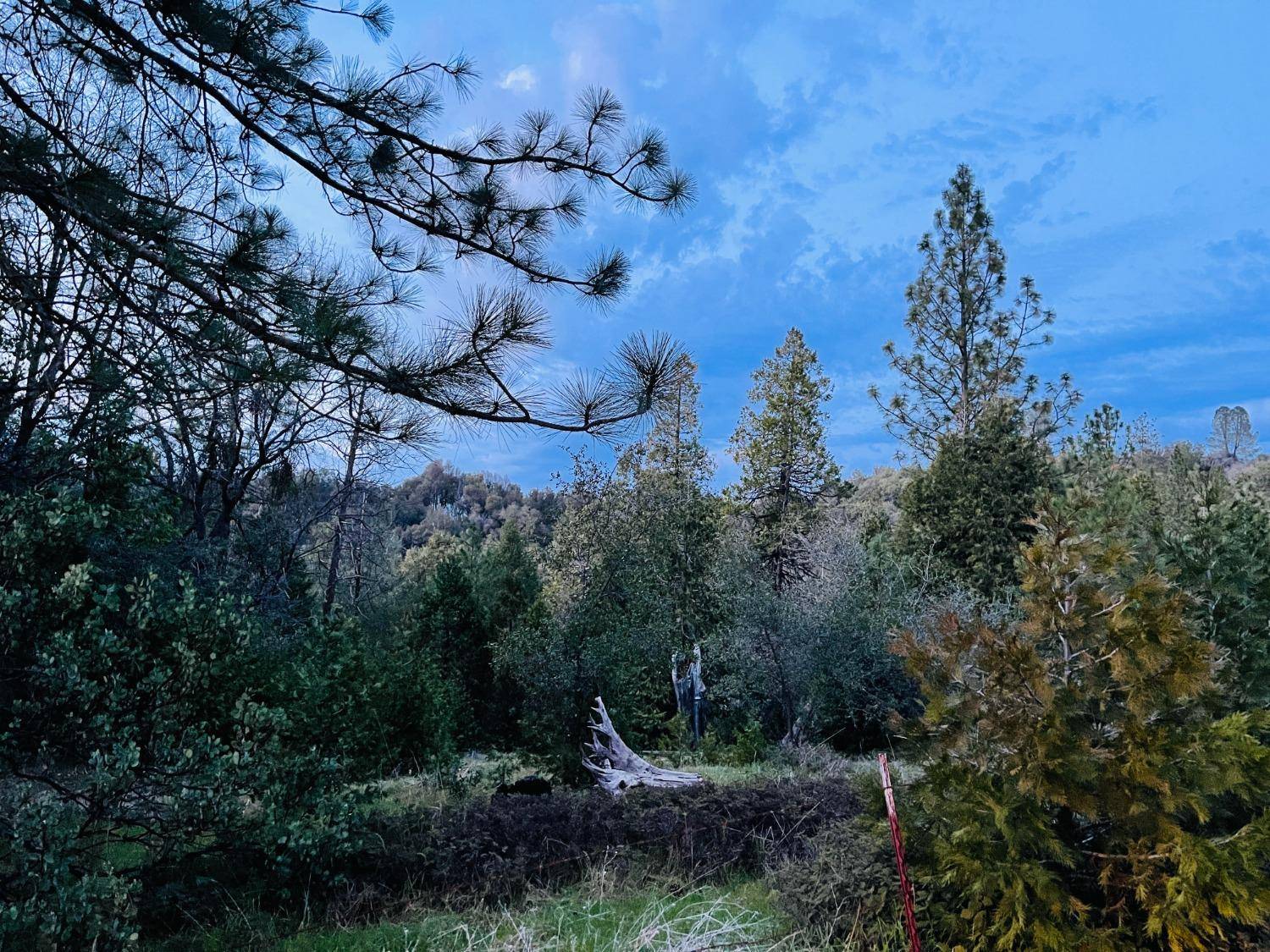 Somerset, CA 95684,6340 Gray Rock RD