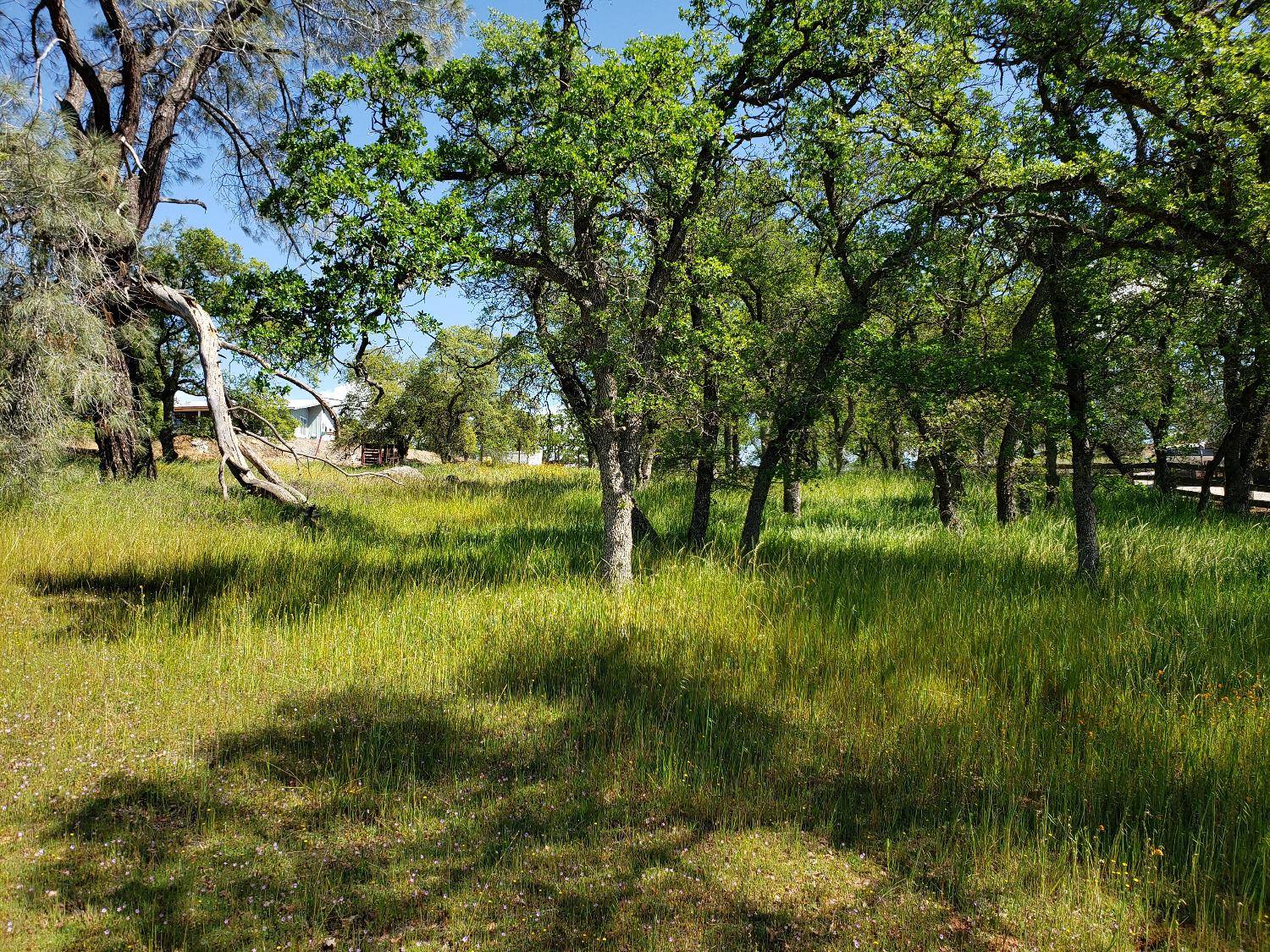 La Grange, CA 95329,4537 Arbolada