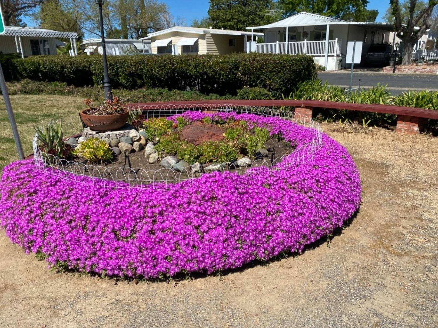 Esparto, CA 95627,26262 County Road 21A #18