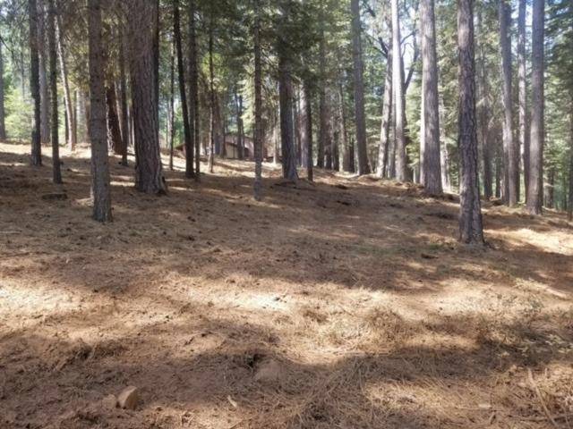 Arnold, CA 95223,1785 Mustang RD