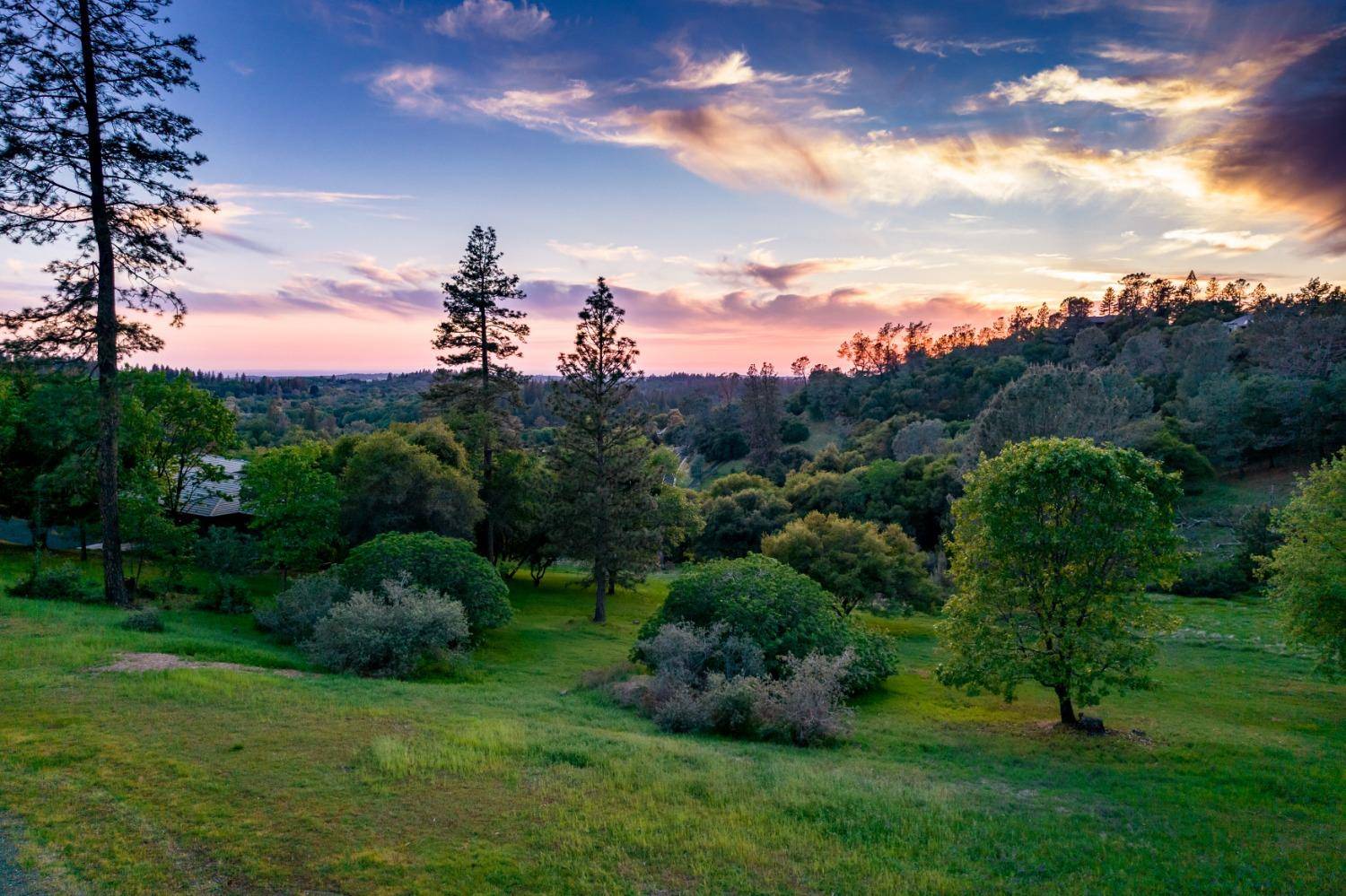 Meadow Vista, CA 95722,1000 Red Tail Ct