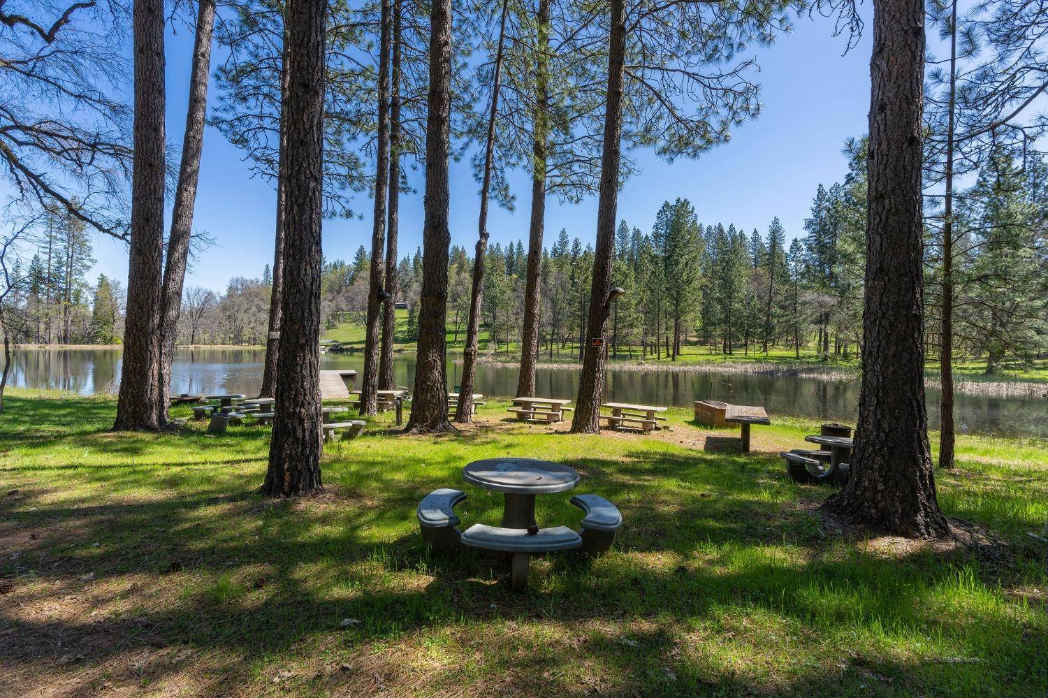 Rail Road Flat, CA 95248,229 Buchanan WAY