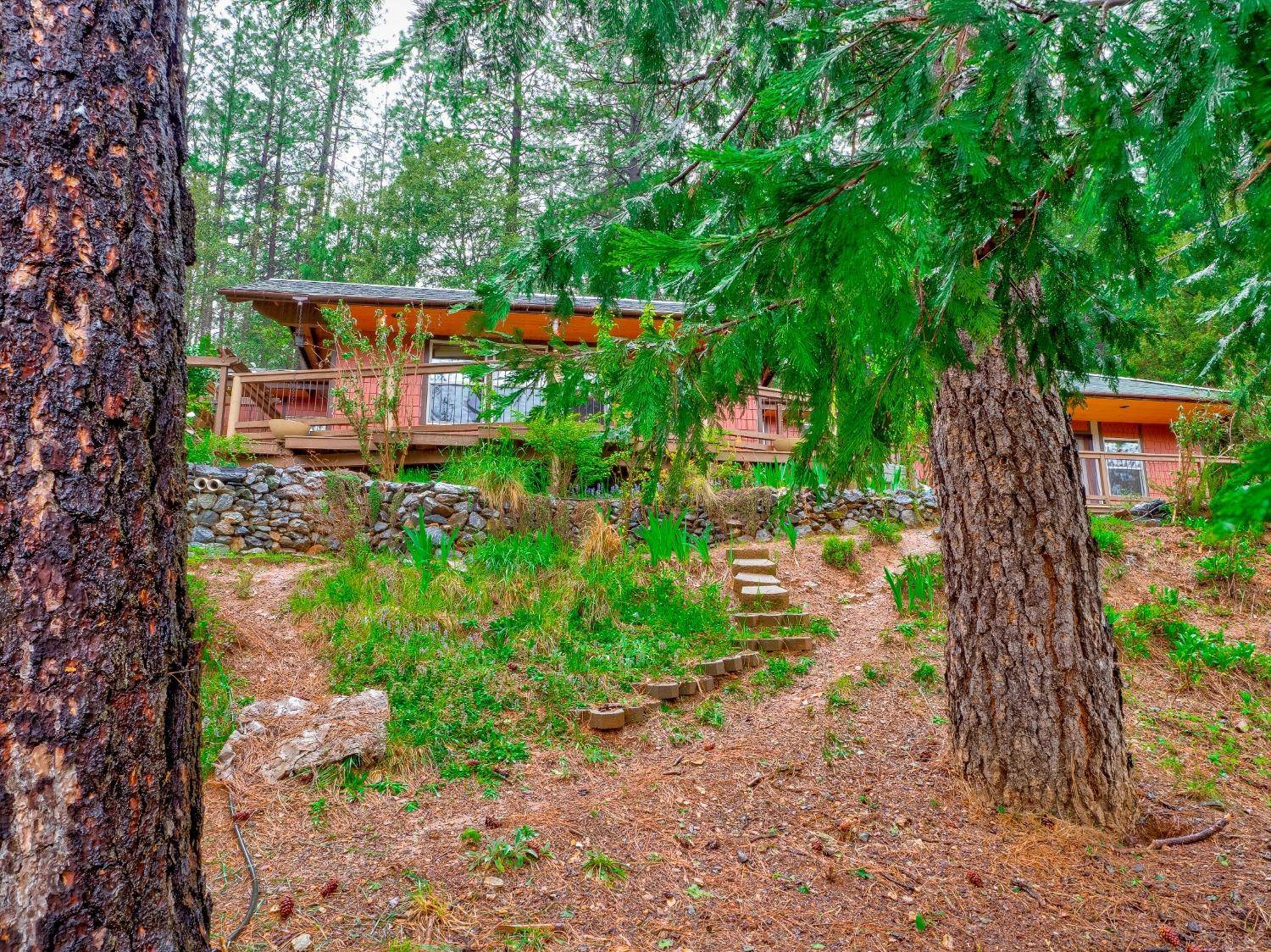 Georgetown, CA 95634,5200 Gun Smoke RD