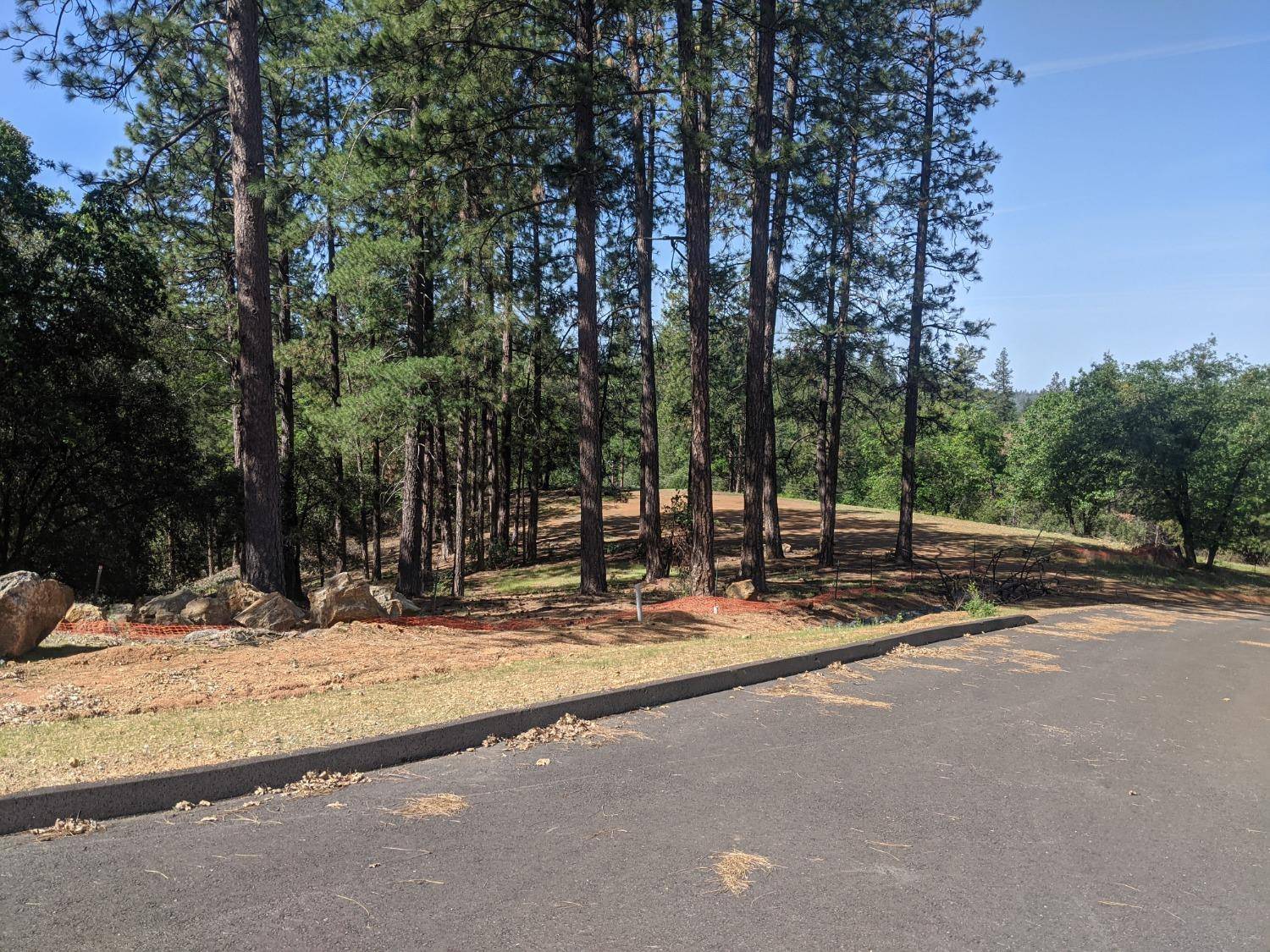 Colfax, CA 95713,4 Eden Forest Dr