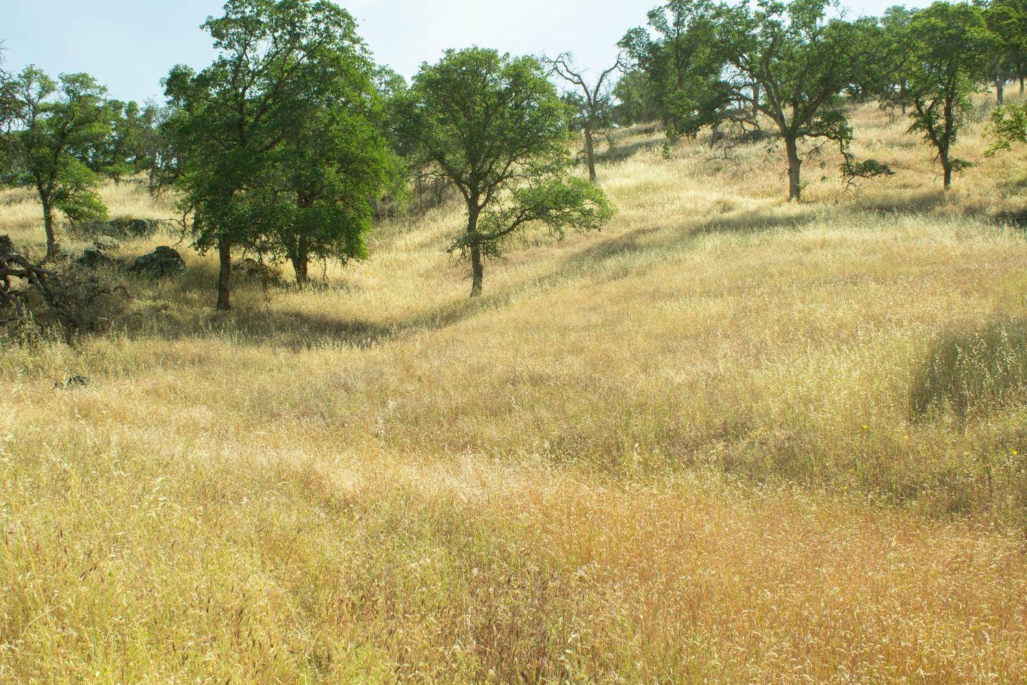 La Grange, CA 95329,9754 Mirasol WAY