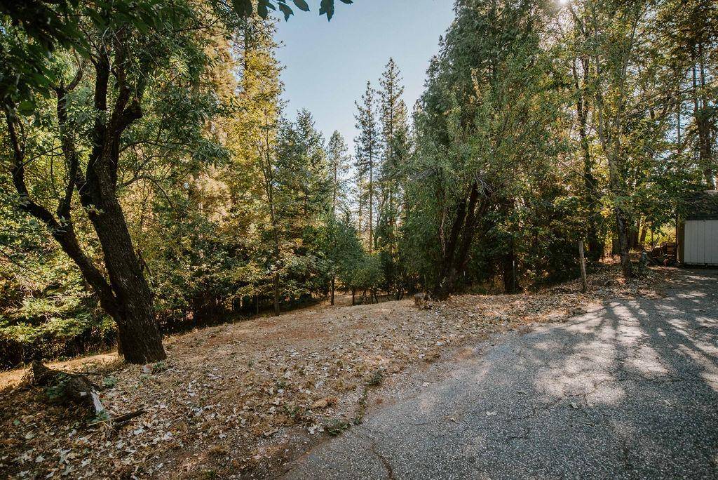 Grass Valley, CA 95945,14006 Liquidambar LN
