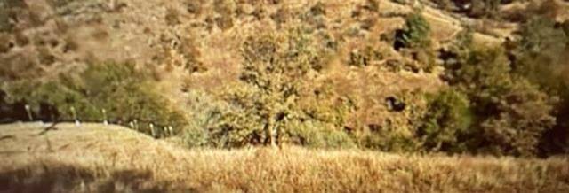 La Grange, CA 95329,679 Zarzamora DR