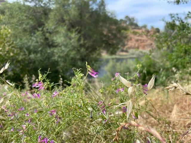 Jamestown, CA 95327,13834 Tulloch Dam RD