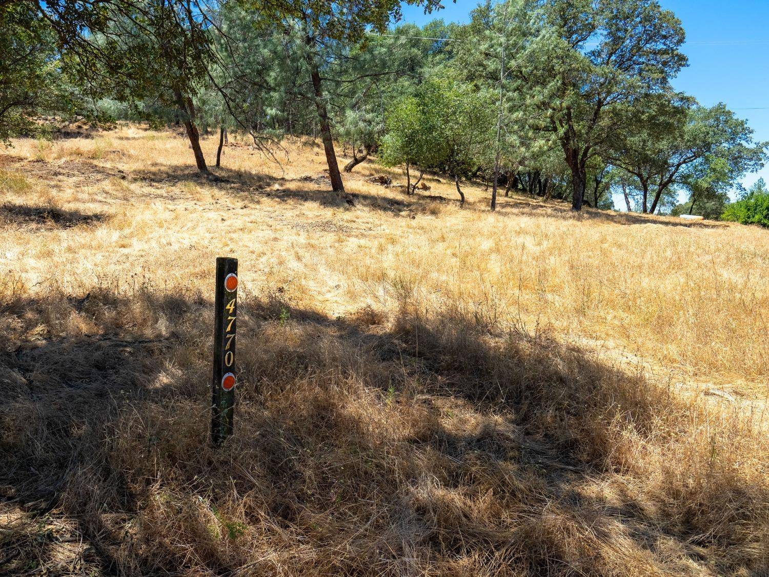 Shingle Springs, CA 95682,4770 Crescent Hill LN