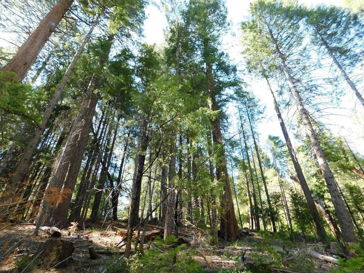 West Point, CA 95255,2558 Winton RD