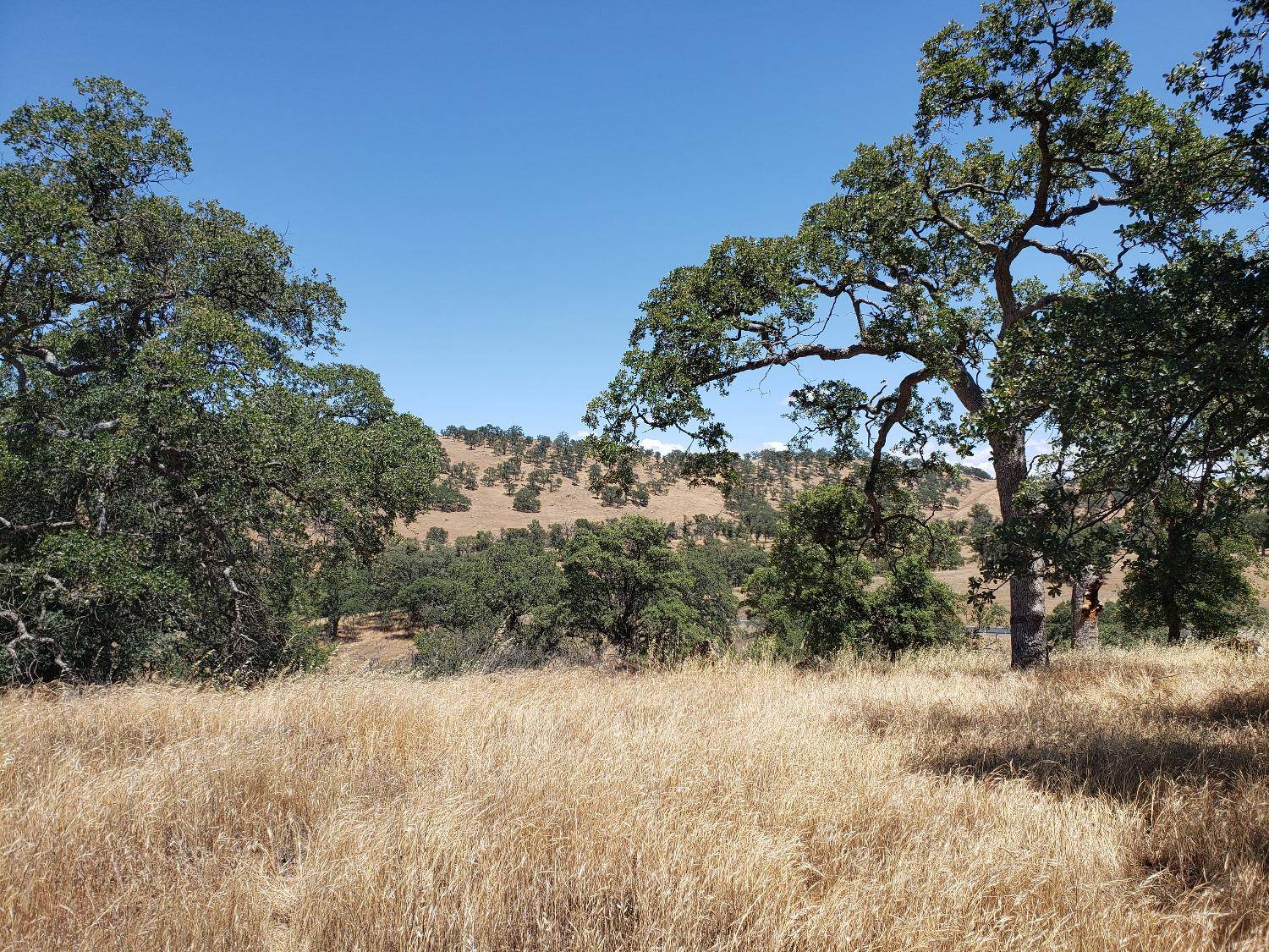 La Grange, CA 95329,2251 Pepito DR