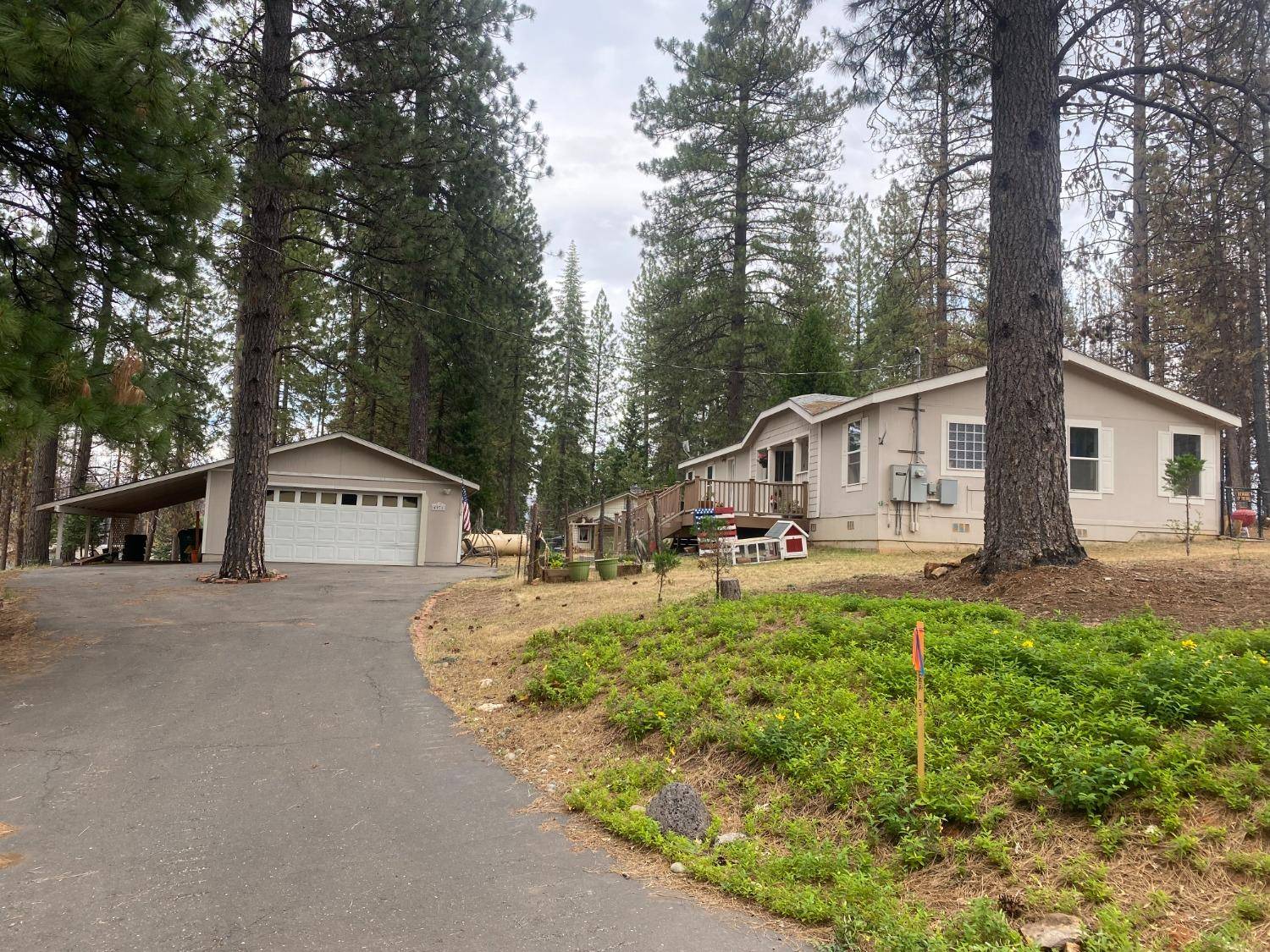 Grizzly Flats, CA 95636,4971 Mount Pleasant DR