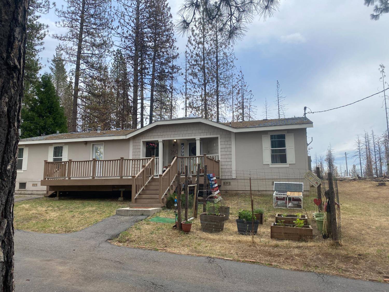 Grizzly Flats, CA 95636,4971 Mount Pleasant DR