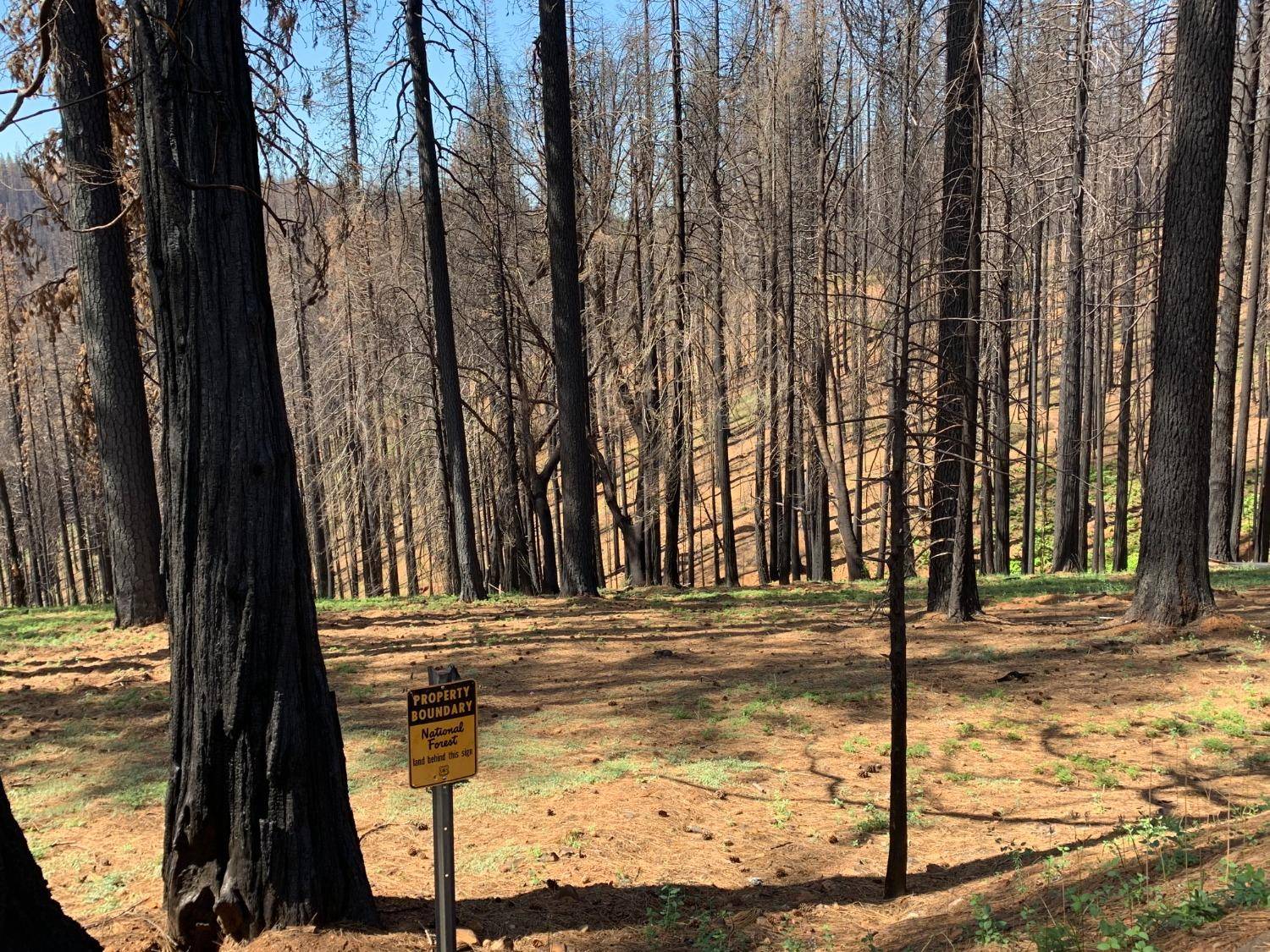 Grizzly Flats, CA 95636,& 5359 Golden Aspen DR