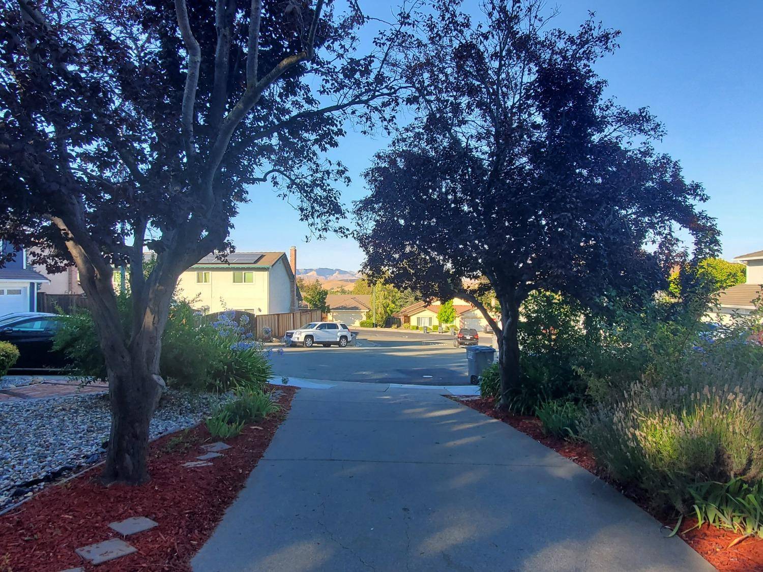 Dublin, CA 94568,11507 Santo CT