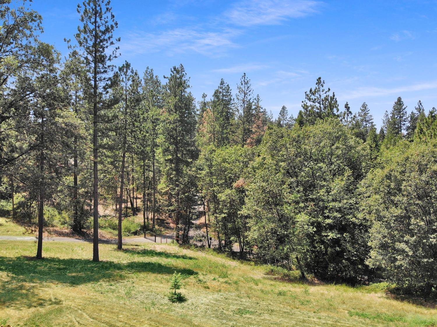 Grass Valley, CA 95949,15499 Allison Ranch RD