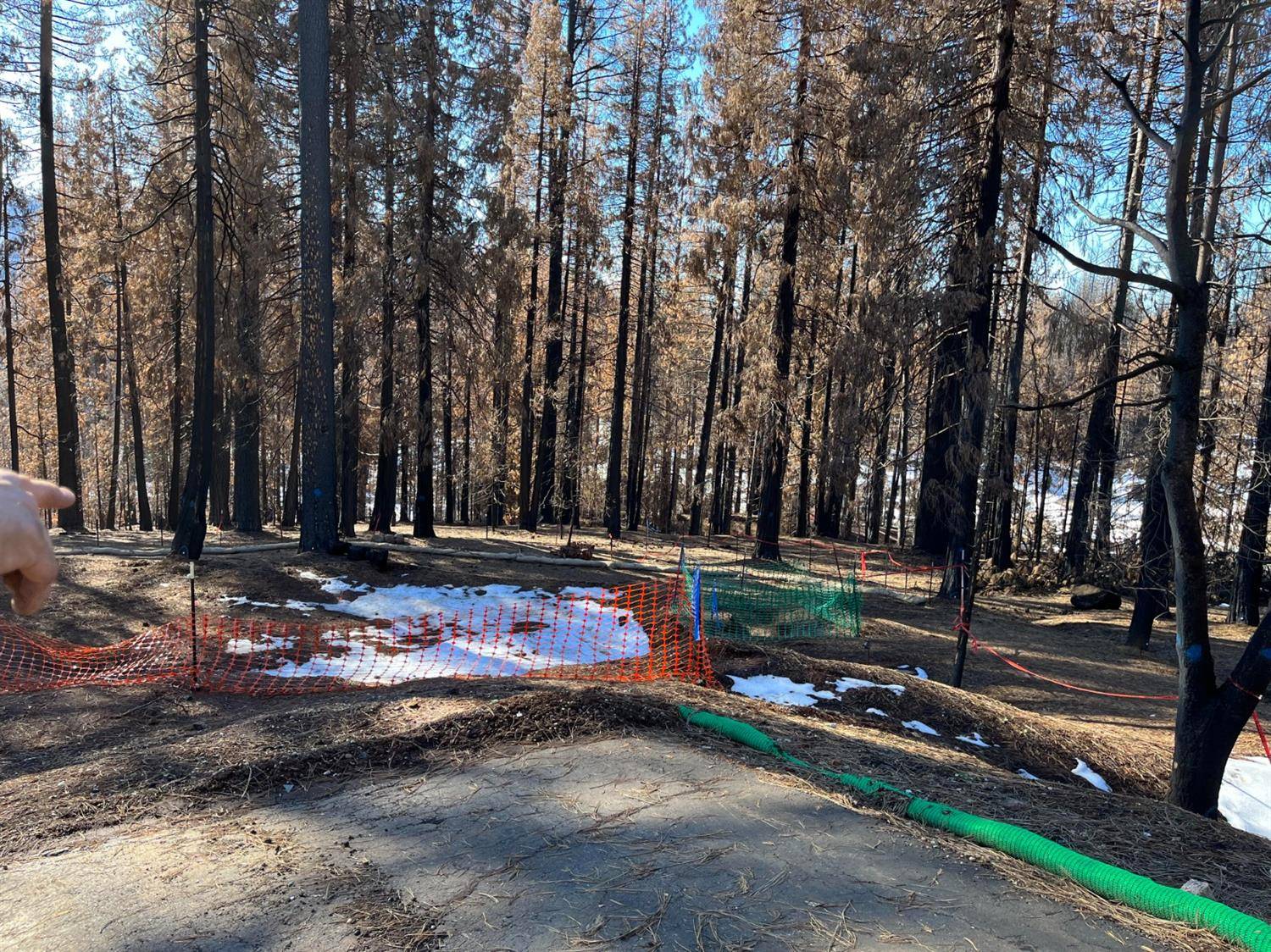 Grizzly Flats, CA 95636,4962 Edgewood CIR