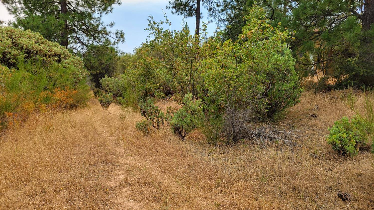 Placerville, CA 95667,0 Gravel Road
