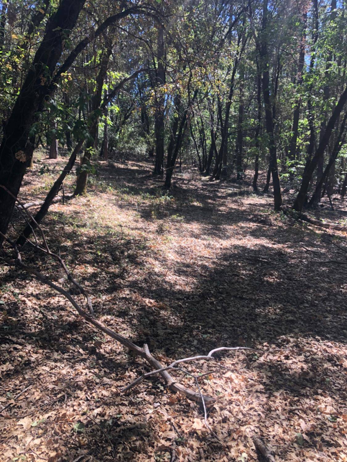 Garden Valley, CA 95633,0 Graybar Mine Rd