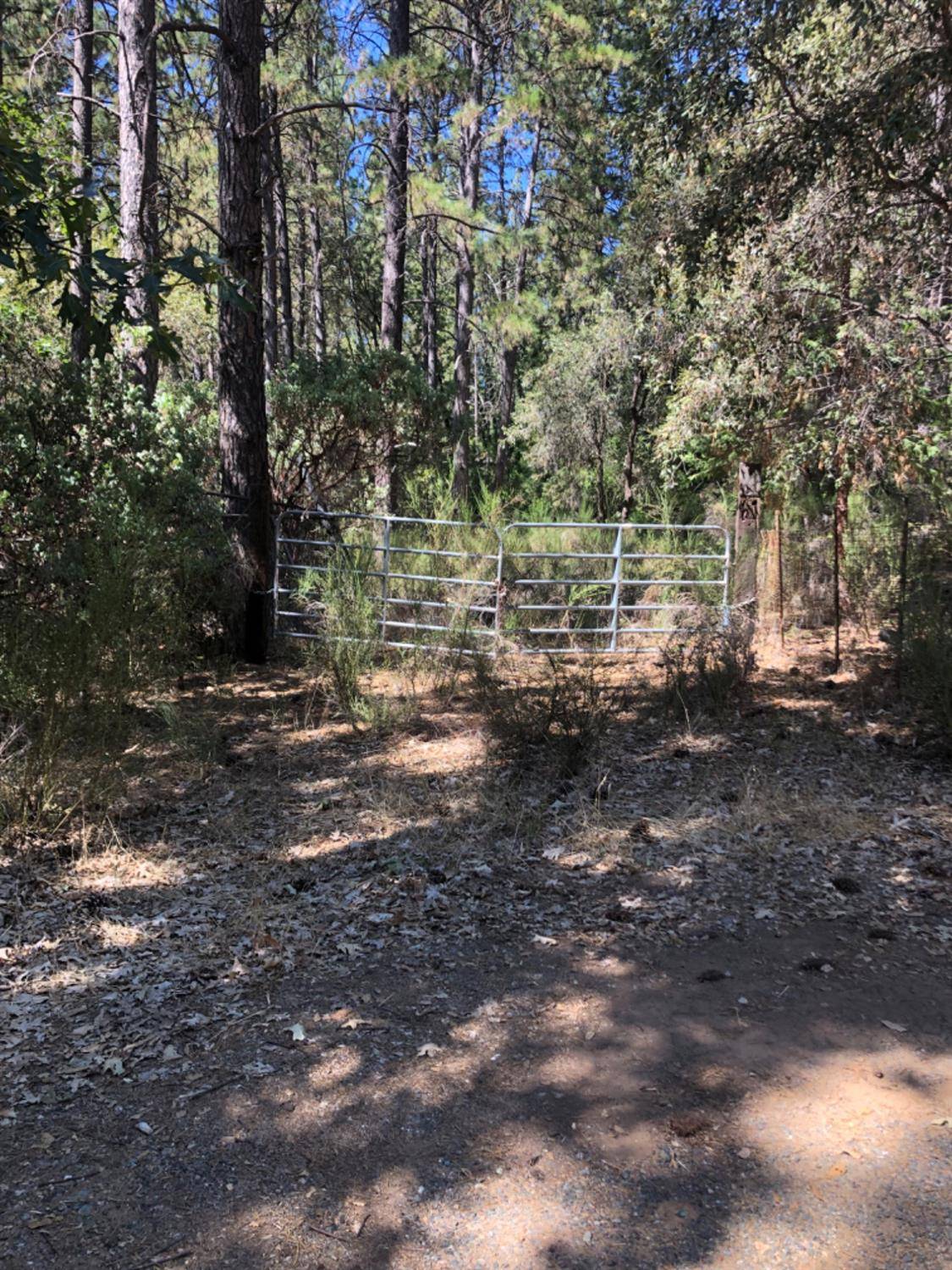 Garden Valley, CA 95633,0 Graybar Mine Rd