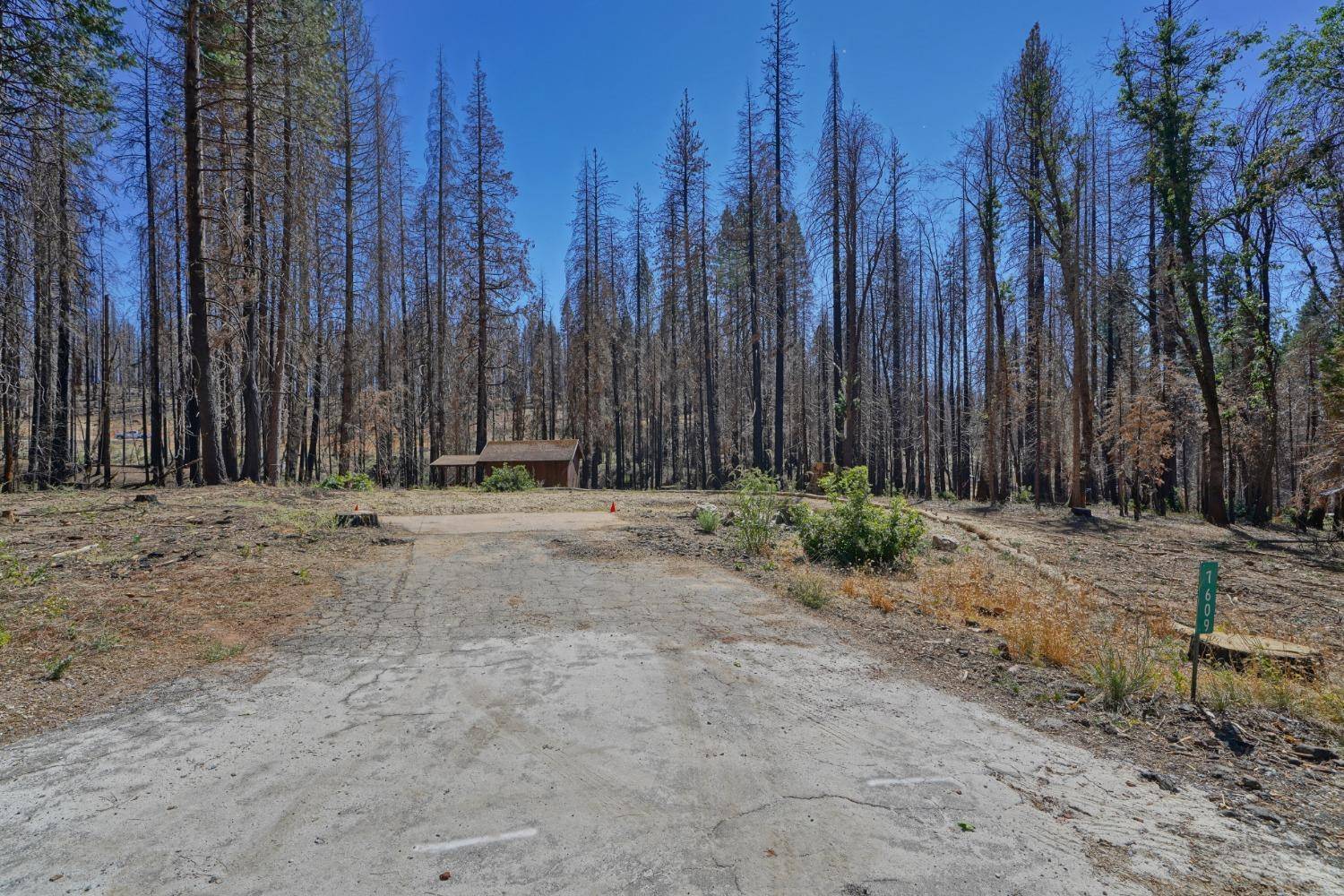 Grizzly Flats, CA 95636,7609 Forest Glen DR