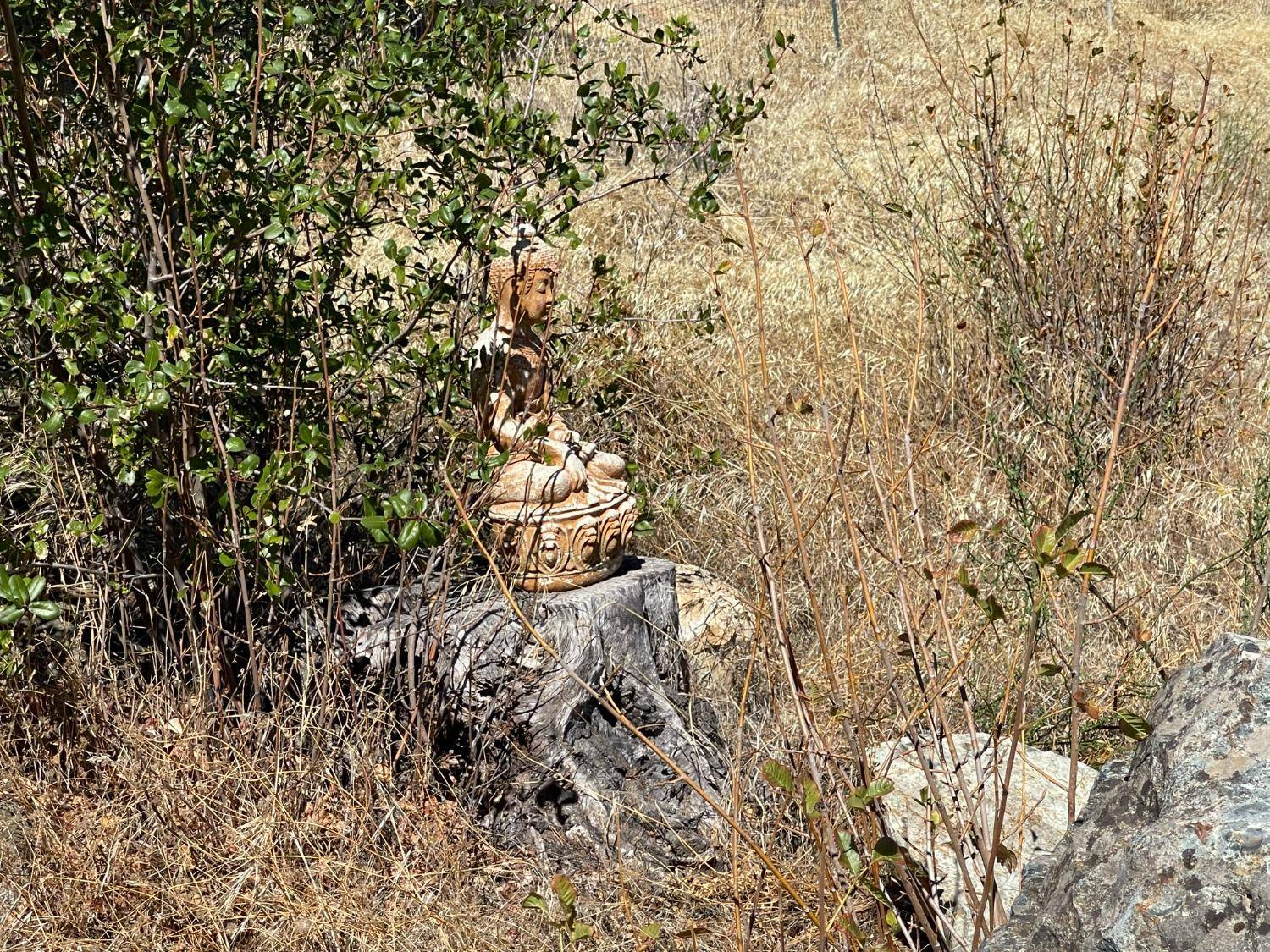 North San Juan, CA 95960,13156 Boulder St