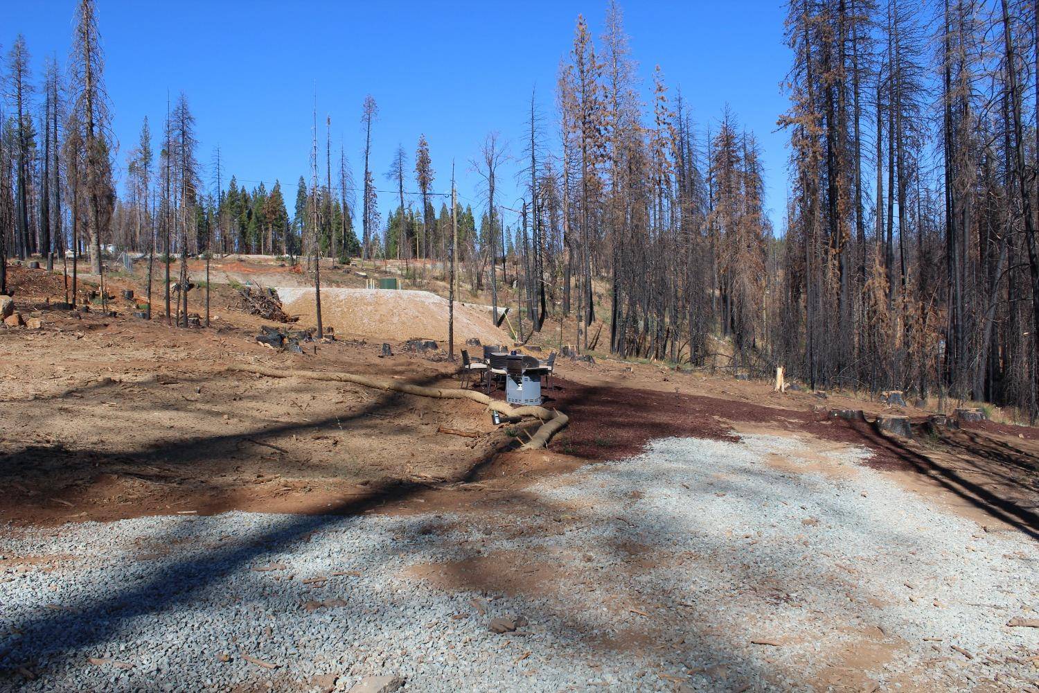 Grizzly Flats, CA 95636,4996 Edgewood CIR