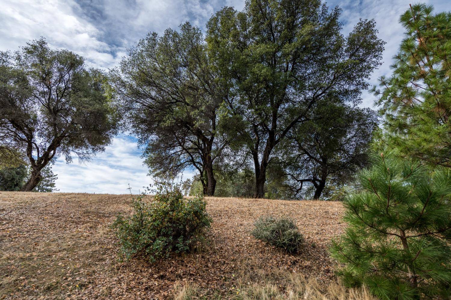 Auburn, CA 95602,Lot 133 Darkhorse DR