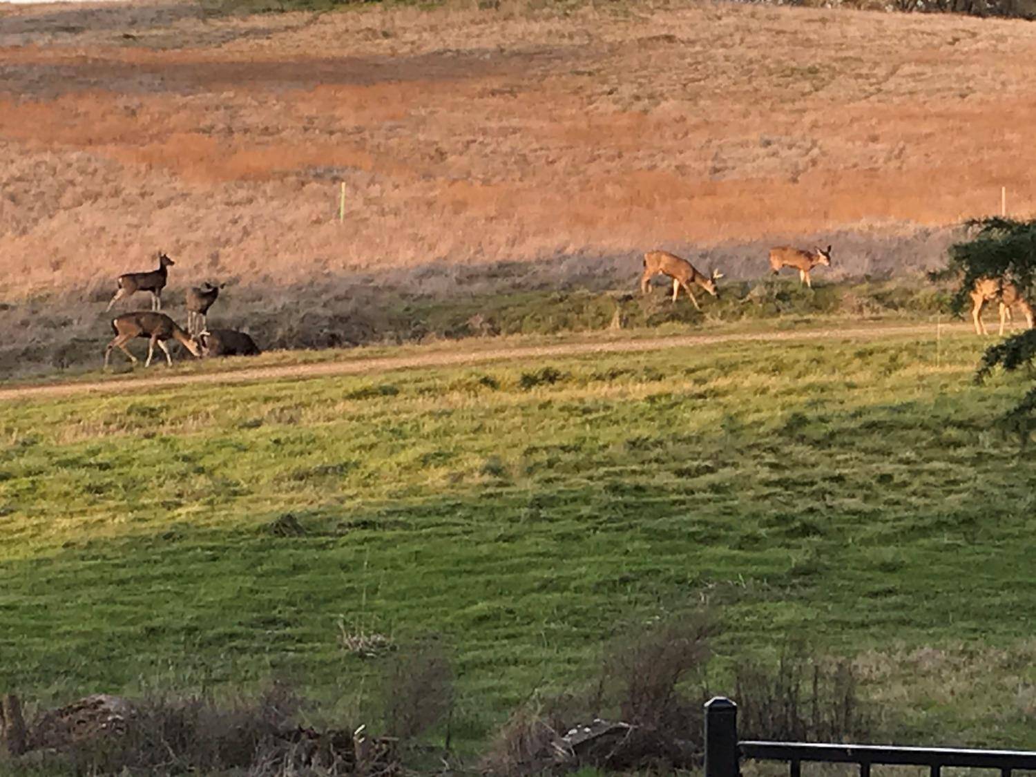 Rancho Murieta, CA 95683,Lot 26 Murieta Hills DR