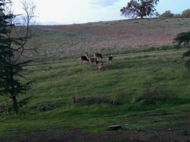 Rancho Murieta, CA 95683,Lot 33 Murieta Hills DR