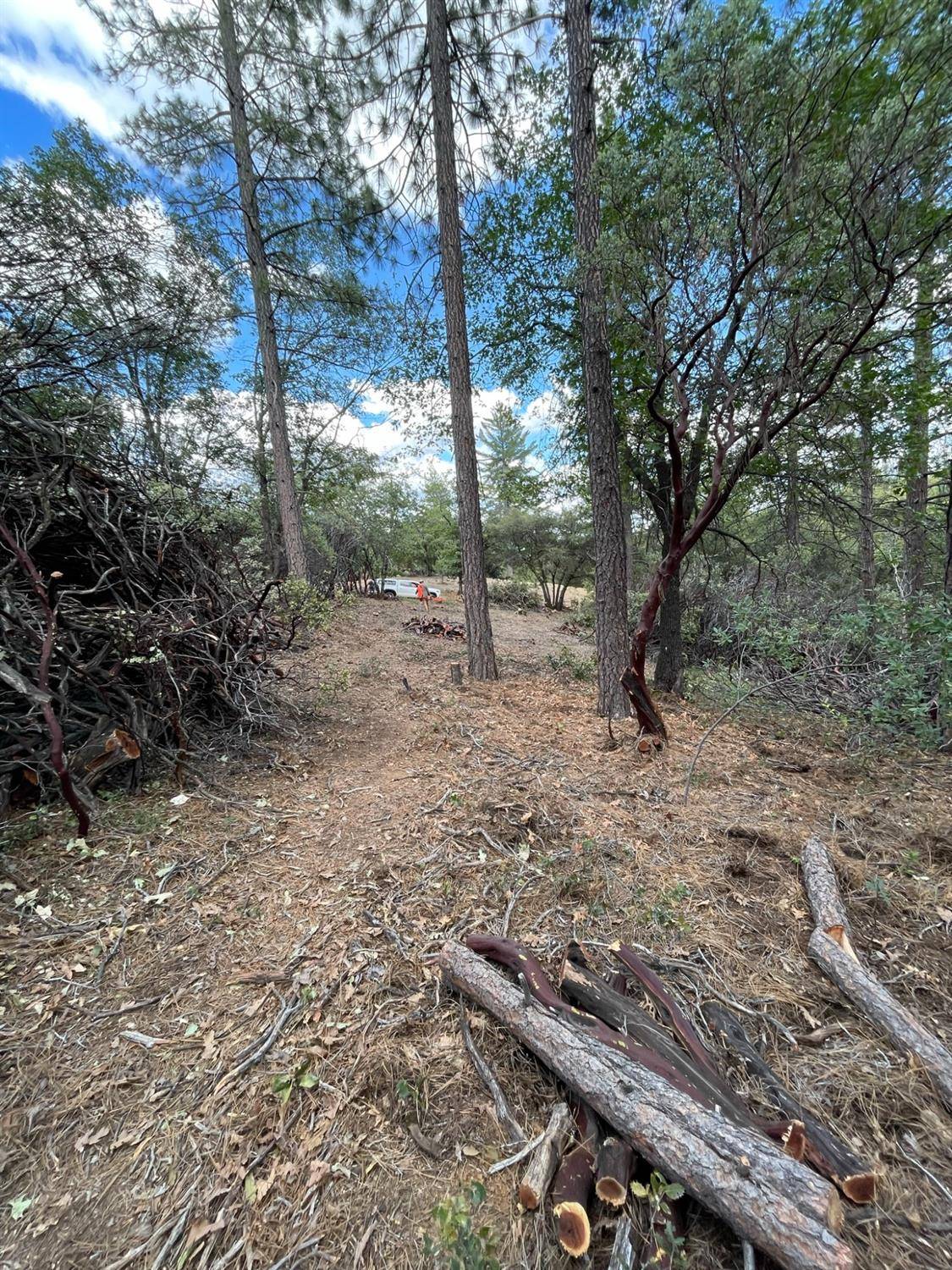 Colfax, CA 95713,0 Loggers Trail