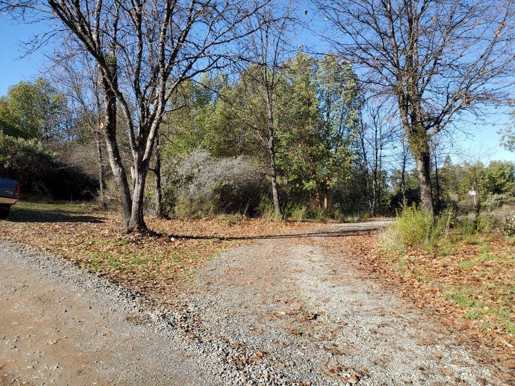 Nevada City, CA 95959,14411 Kodama RD