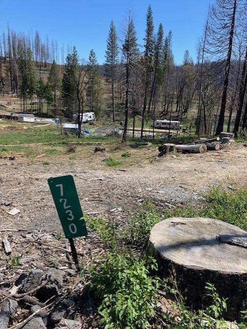 Grizzly Flats, CA 95636,7230 Grizzly Creek