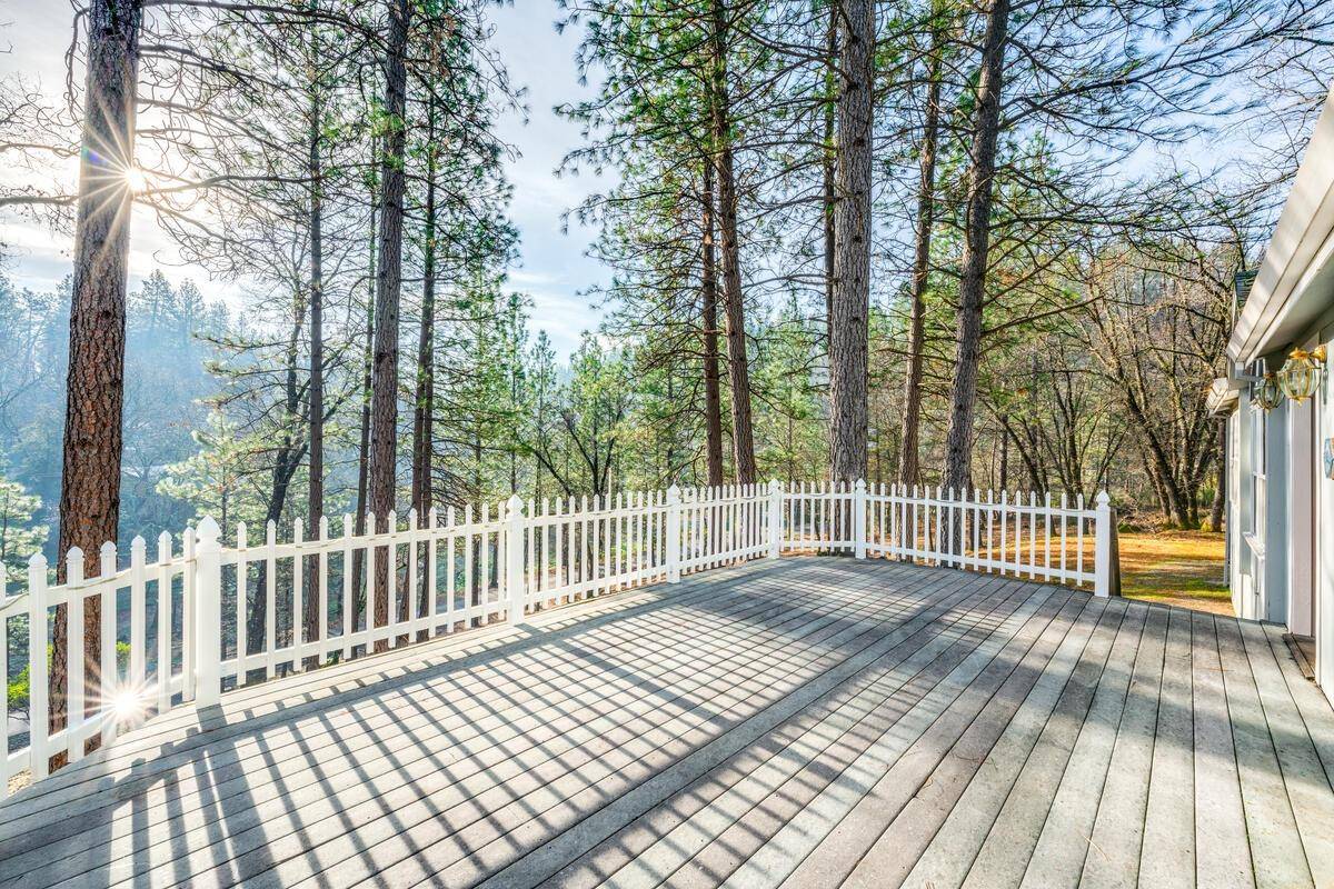 Meadow Vista, CA 95722,16375 Loretta LN