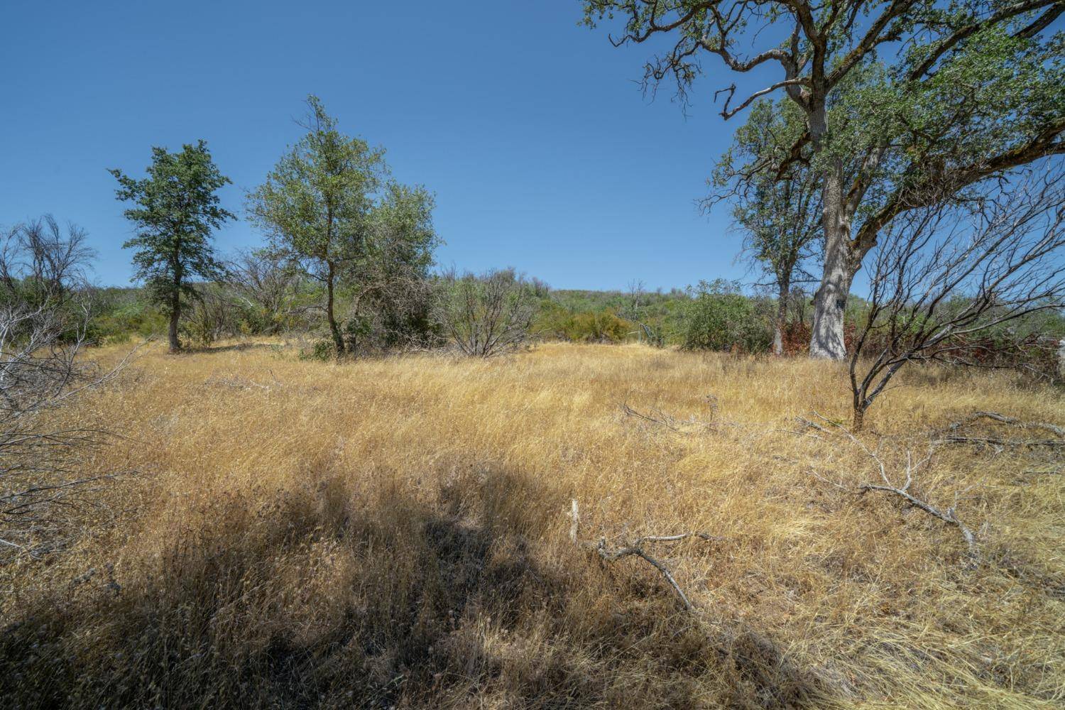 San Andreas, CA 94606,0 Del Sol LN