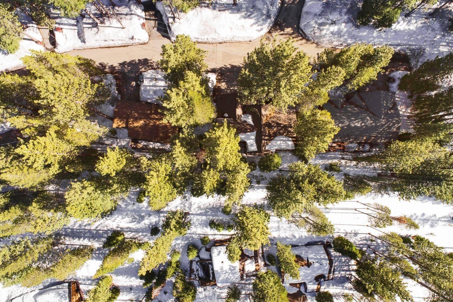 South Lake Tahoe, CA 96150,1513 Cree ST