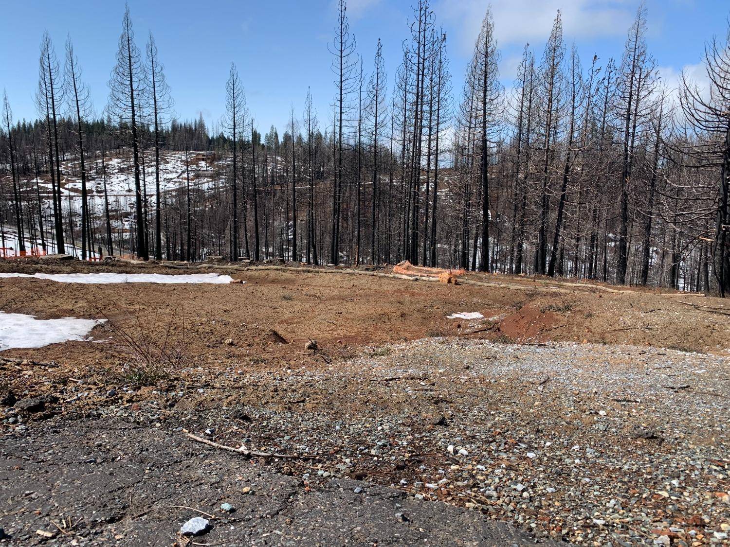 Grizzly Flats, CA 95636,5019 Rollingwood DR