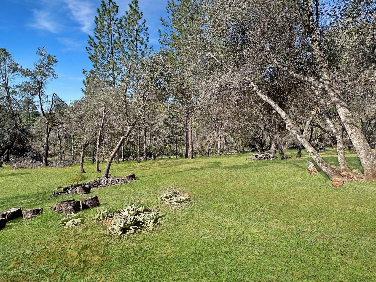 Grass Valley, CA 95949,19066 Norlene WAY