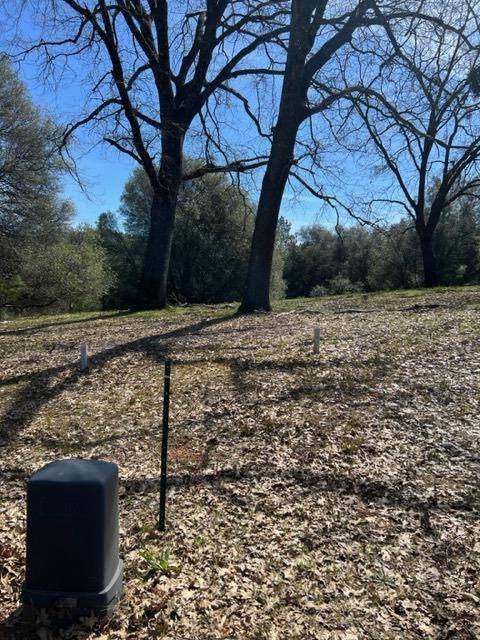 Auburn, CA 95602,Lot 167 Darkhorse DR