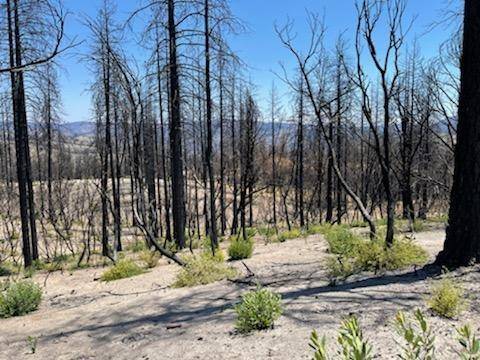 Berry Creek, CA 95916,0 Indian Cemetery RD