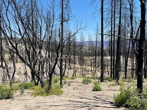 Berry Creek, CA 95916,0 Indian Cemetery RD