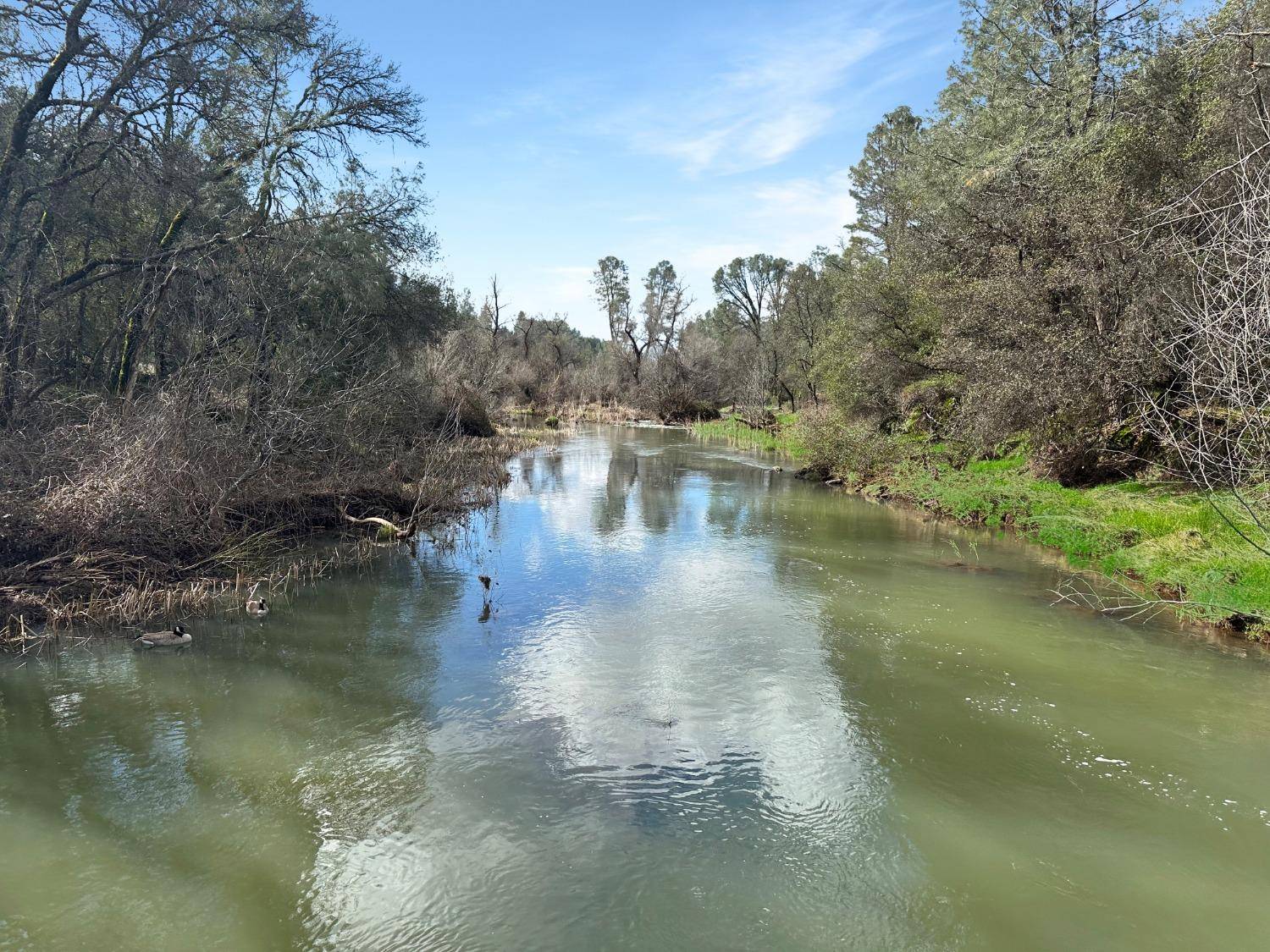 Grass Valley, CA 95949,19353 Brewer RD