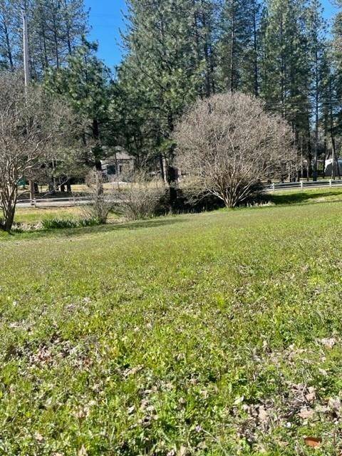 Meadow Vista, CA 95722,2717 Lake DR